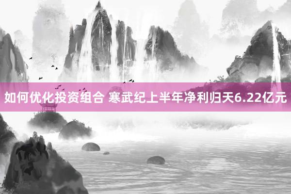 如何优化投资组合 寒武纪上半年净利归天6.22亿元