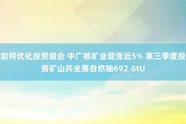 如何优化投资组合 中广核矿业现涨近5% 第三季度投资矿山共坐蓐自然铀692.6tU