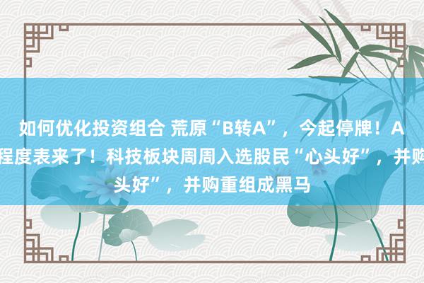 如何优化投资组合 荒原“B转A”，今起停牌！A股并购重组程度表来了！科技板块周周入选股民“心头好”，并购重组成黑马