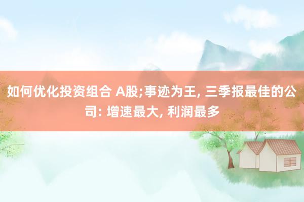 如何优化投资组合 A股;事迹为王, 三季报最佳的公司: 增速最大, 利润最多