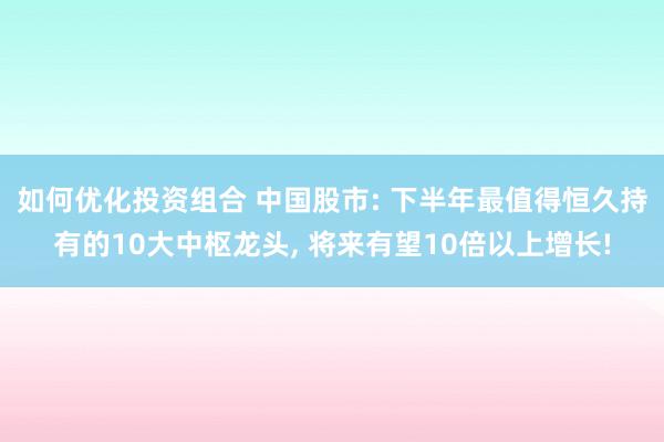 如何优化投资组合 中国股市: 下半年最值得恒久持有的10大中枢龙头, 将来有望10倍以上增长!