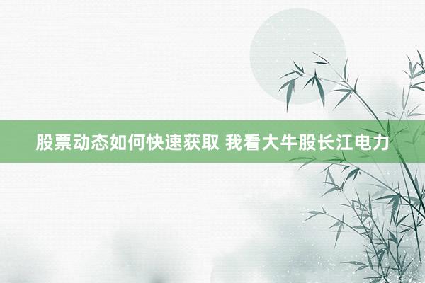 股票动态如何快速获取 我看大牛股长江电力