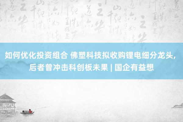 如何优化投资组合 佛塑科技拟收购锂电细分龙头, 后者曾冲击科创板未果 | 国企有益想