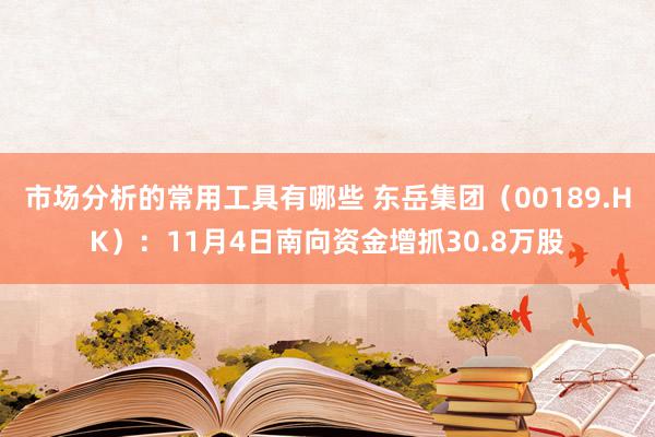 市场分析的常用工具有哪些 东岳集团（00189.HK）：11月4日南向资金增抓30.8万股