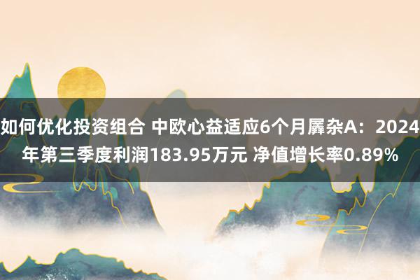 如何优化投资组合 中欧心益适应6个月羼杂A：2024年第三季度利润183.95万元 净值增长率0.89%