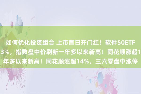 如何优化投资组合 上市首日开门红！软件50ETF(159590)一度大涨超3%，指数盘中价刷新一年多以来新高！同花顺涨超14%，三六零盘中涨停