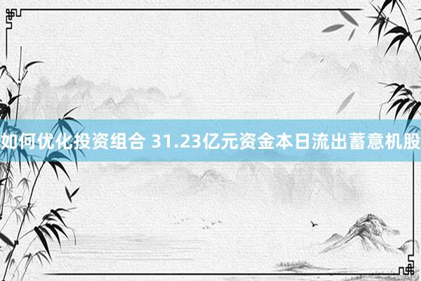 如何优化投资组合 31.23亿元资金本日流出蓄意机股