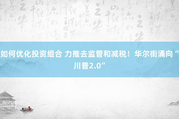 如何优化投资组合 力推去监管和减税！华尔街涌向“川普2.0”