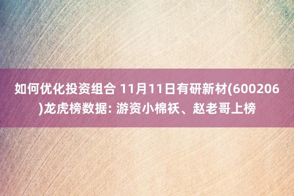 如何优化投资组合 11月11日有研新材(600206)龙虎榜数据: 游资小棉袄、赵老哥上榜