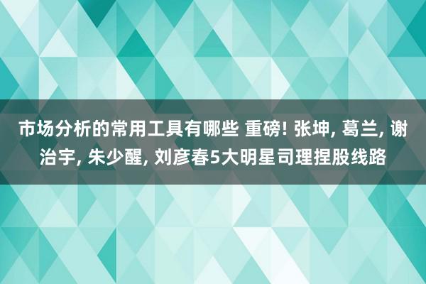 市场分析的常用工具有哪些 重磅! 张坤, 葛兰, 谢治宇, 朱少醒, 刘彦春5大明星司理捏股线路