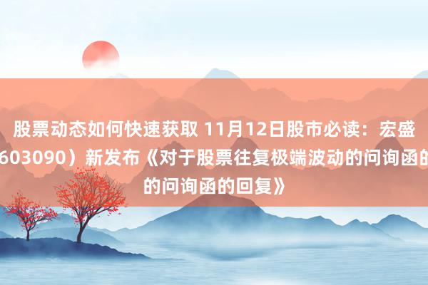 股票动态如何快速获取 11月12日股市必读：宏盛股份（603090）新发布《对于股票往复极端波动的问询函的回复》