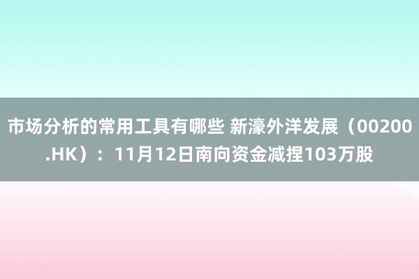 市场分析的常用工具有哪些 新濠外洋发展（00200.HK）：11月12日南向资金减捏103万股