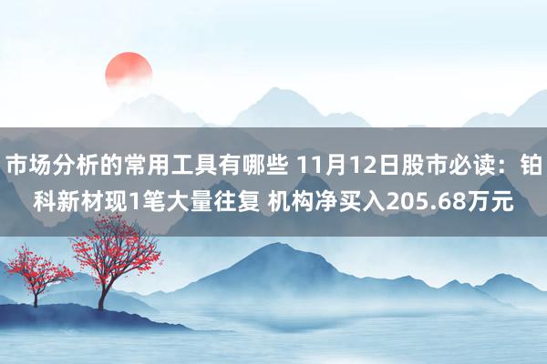 市场分析的常用工具有哪些 11月12日股市必读：铂科新材现1笔大量往复 机构净买入205.68万元