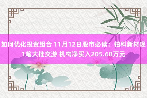 如何优化投资组合 11月12日股市必读：铂科新材现1笔大批交游 机构净买入205.68万元