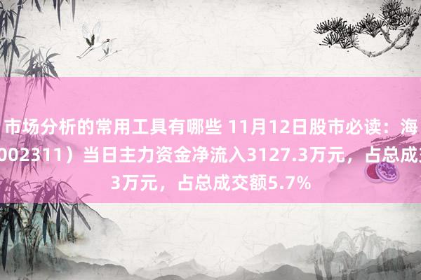 市场分析的常用工具有哪些 11月12日股市必读：海大集团（002311）当日主力资金净流入3127.3万元，占总成交额5.7%