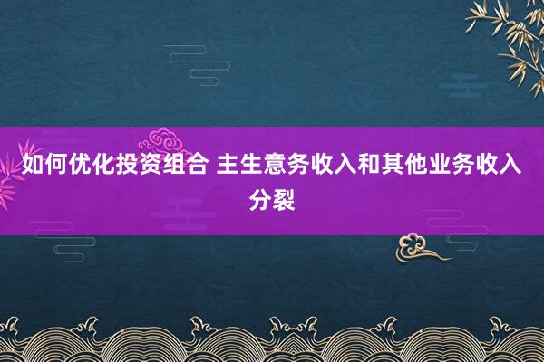 如何优化投资组合 主生意务收入和其他业务收入分裂