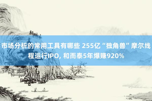 市场分析的常用工具有哪些 255亿“独角兽”摩尔线程运行IPO, 和而泰5年爆赚920%