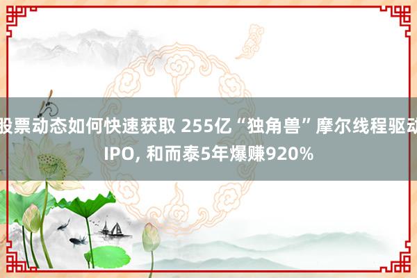 股票动态如何快速获取 255亿“独角兽”摩尔线程驱动IPO, 和而泰5年爆赚920%