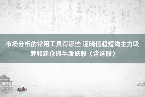 市场分析的常用工具有哪些 邃晓信超短线主力吸筹和建仓抓牛股妖股（含选股）