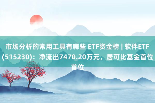 市场分析的常用工具有哪些 ETF资金榜 | 软件ETF(515230)：净流出7470.20万元，居可比基金首位