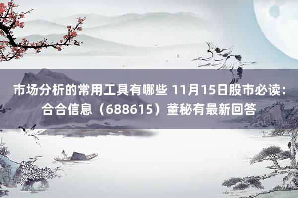 市场分析的常用工具有哪些 11月15日股市必读：合合信息（688615）董秘有最新回答