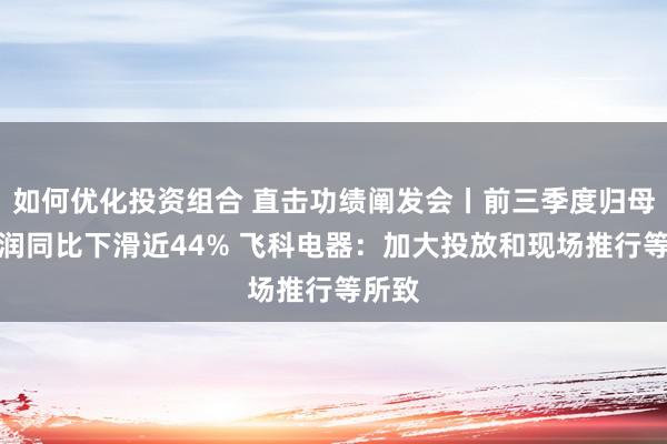 如何优化投资组合 直击功绩阐发会丨前三季度归母净利润同比下滑近44% 飞科电器：加大投放和现场推行等所致