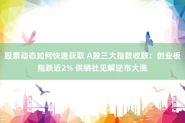 股票动态如何快速获取 A股三大指数收跌：创业板指跌近2% 供销社见解逆市大涨