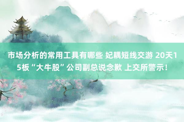 市场分析的常用工具有哪些 妃耦短线交游 20天15板“大牛股”公司副总说念歉 上交所警示！