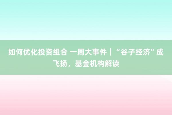 如何优化投资组合 一周大事件｜“谷子经济”成飞扬，基金机构解读