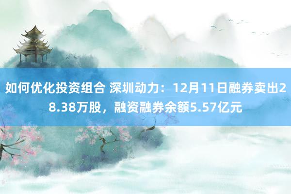 如何优化投资组合 深圳动力：12月11日融券卖出28.38万股，融资融券余额5.57亿元