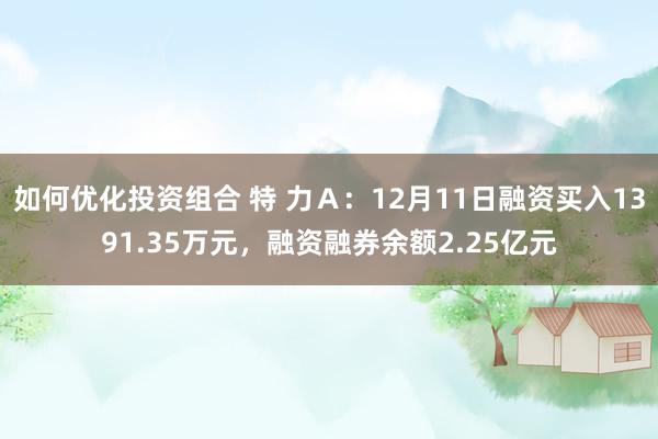 如何优化投资组合 特 力Ａ：12月11日融资买入1391.35万元，融资融券余额2.25亿元