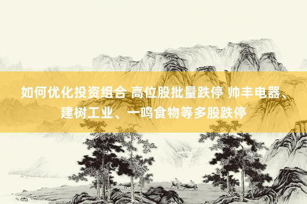 如何优化投资组合 高位股批量跌停 帅丰电器、建树工业、一鸣食物等多股跌停