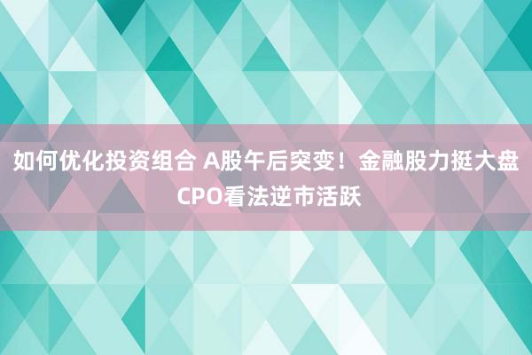 如何优化投资组合 A股午后突变！金融股力挺大盘 CPO看法逆市活跃