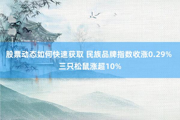 股票动态如何快速获取 民族品牌指数收涨0.29% 三只松鼠涨超10%