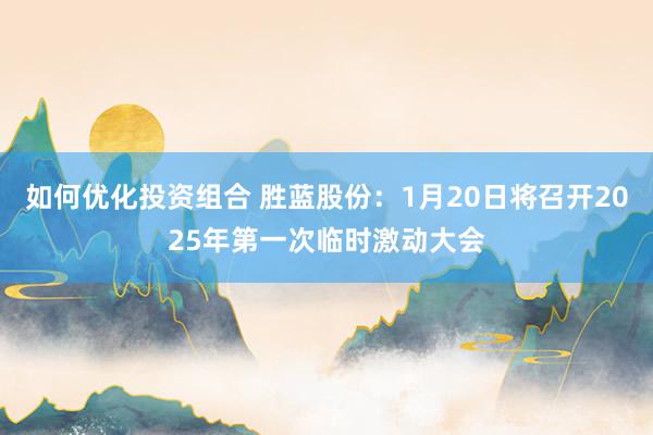 如何优化投资组合 胜蓝股份：1月20日将召开2025年第一次临时激动大会