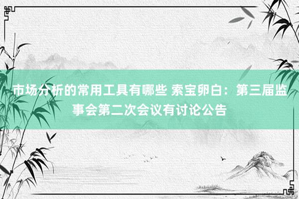 市场分析的常用工具有哪些 索宝卵白：第三届监事会第二次会议有讨论公告