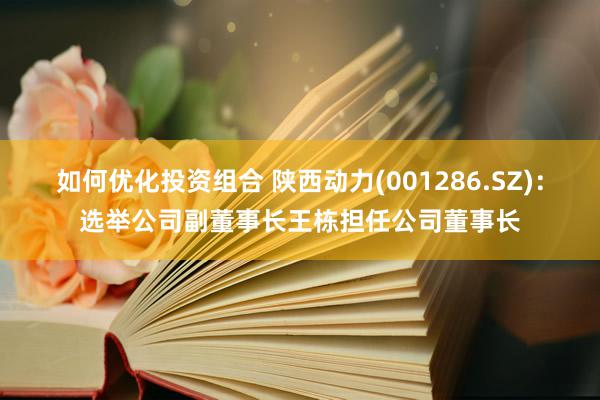 如何优化投资组合 陕西动力(001286.SZ)：选举公司副董事长王栋担任公司董事长